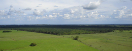 Coalición Orinoquia